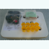 DIY Set Hidroponik
