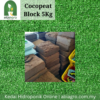 Cocopeat Block 5Kg