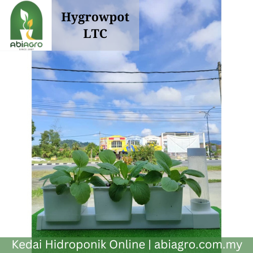 Hygrowpot LTC