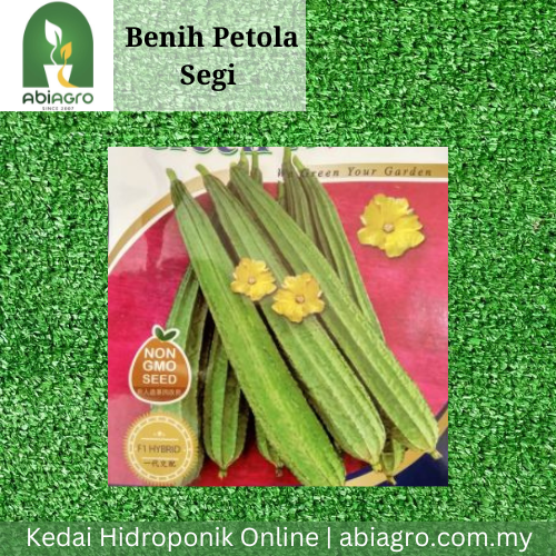 Benih Petola Segi