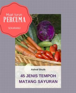 Jimat Dari Dapur Abi Agro Tempoh Matang