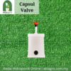 Capsul Valve