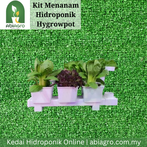 Kit Menanam Hidroponik Hygrowpot