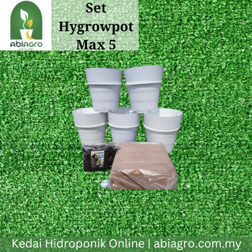 Set Hygrowpot Max5