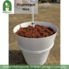 Hygrowpot Max