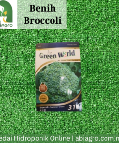 Benih Broccoli