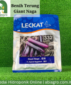 Benih Terung Giant Naga